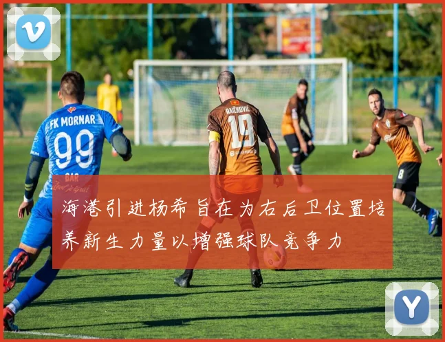 海港引进杨希旨在为右后卫位置培养新生力量以增强球队竞争力