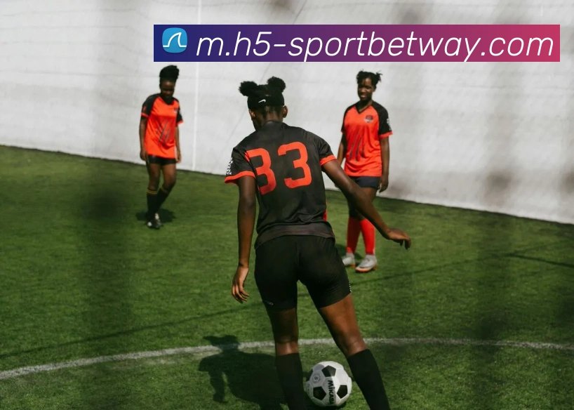 多媒体互动体验