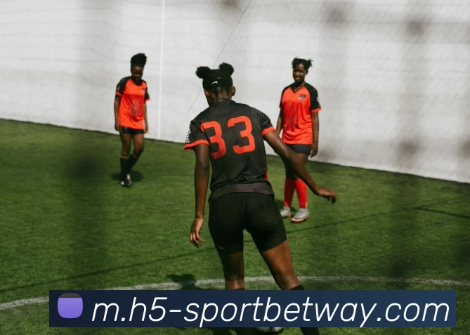 必威体育APP 高清赛事图